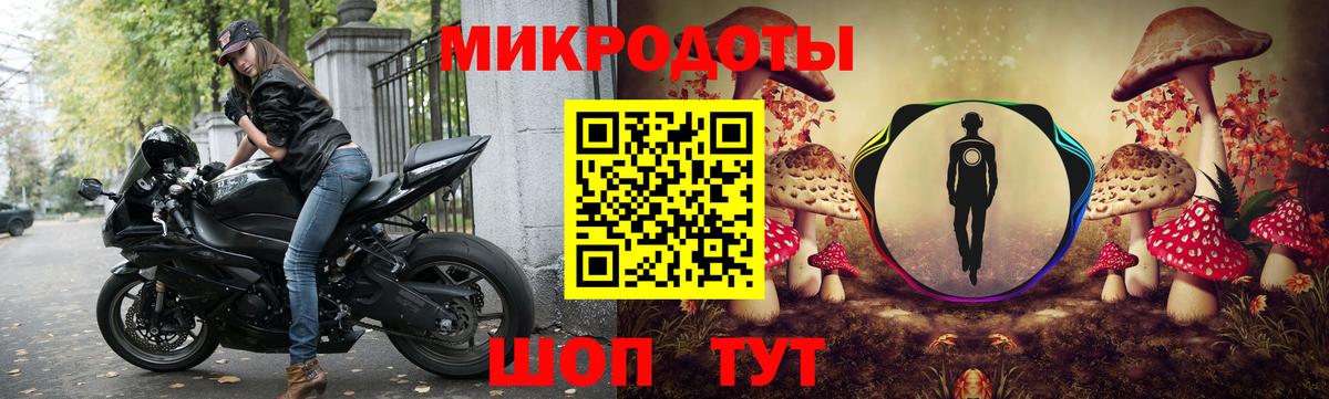 Псилоцибиновые грибы Psilocybine cubensis Новоалтайск