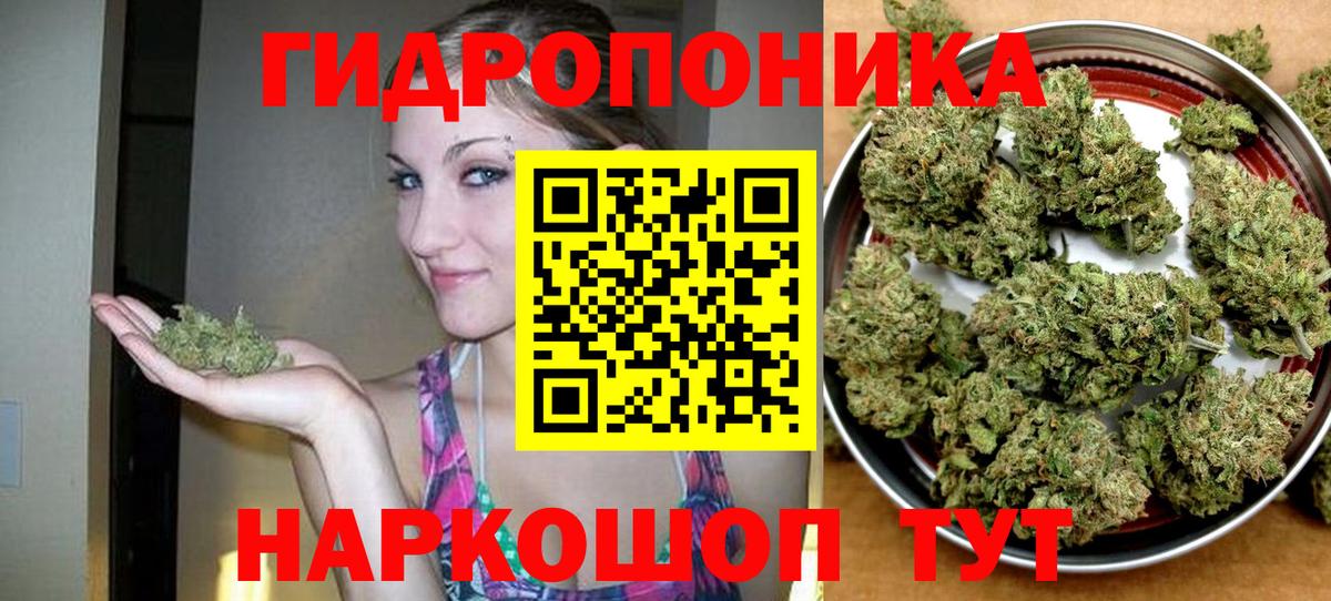 Марихуана семена  Канабис White Widow  Бошки Шишки план  Каннабис Amnesia  Вход с VPN  Новоалтайск 